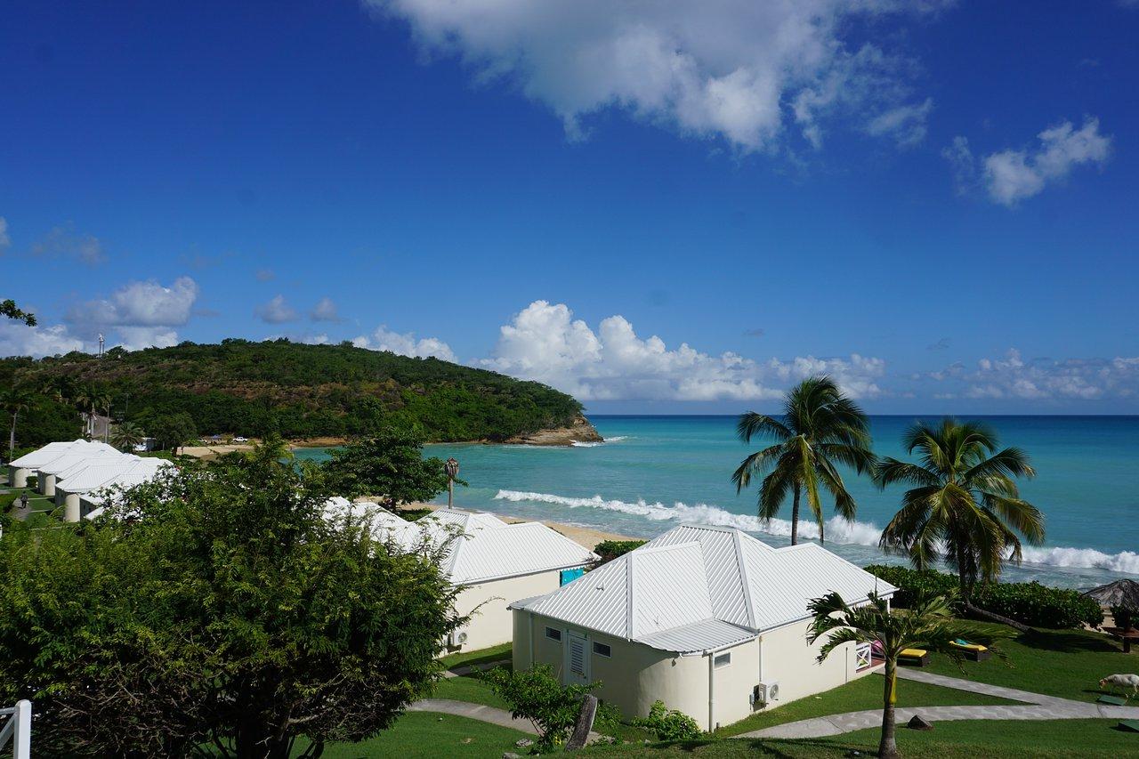 Landing bay bungalows and beach - Picture of Hawksbill Resort Antigua -  Tripadvisor