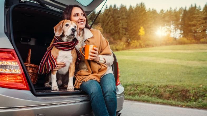 Traveling With Pets - Finding Pet-Friendly Hotels And Tips For A Smooth Stay